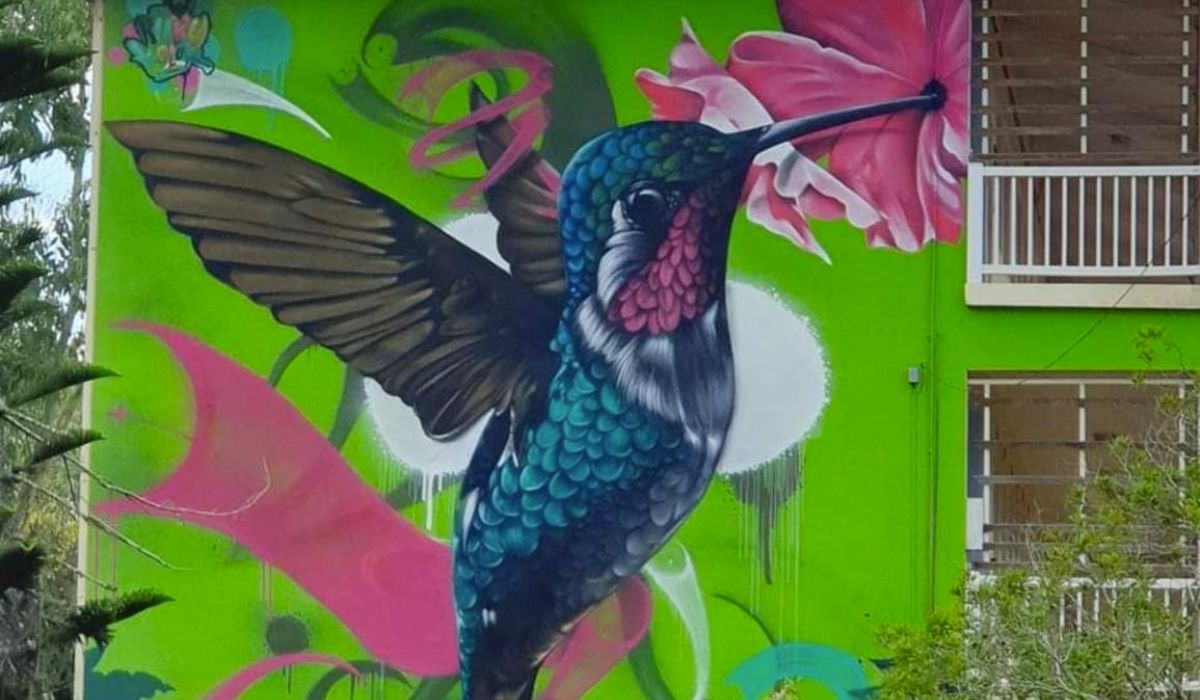Le graffeur Kuby a réalisé un projet de 6 jours (du 8 au 14 octobre) sur le thème de "La fable du Colibri " grace aux subventions du ministère de la culture.